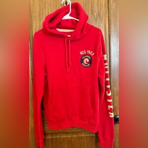 Hollister Y2K Hoodie men size large